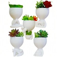 Vaso Suculenta Robert Plant Bob - Kit Com 5 Vasos Suculentas - KIT 4 - EXCLUSIVO DECORE A SUA CASA