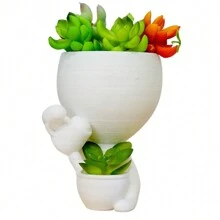 Vaso Suculenta Robert Plant Bob - Kit Com 5 Vasos Suculentas - KIT 4 - EXCLUSIVO DECORE A SUA CASA