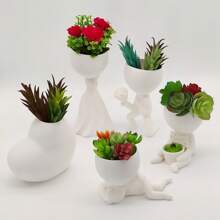 Vaso Suculenta Robert Plant Bob - Kit Com 5 Vasos Suculentas - KIT 3 - EXCLUSIVO DECORE A SUA CASA