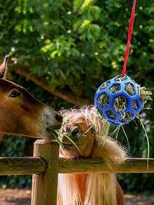 1pc Horse Treat Ball Feeder, Hanging Feeding Toy With Random Color Rope For Stables - Multicolor - View 3