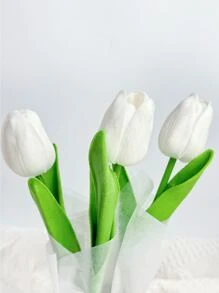 1 Bộ Bó Hoa Tulip Nhân Tạo Bao Gồm Xô Nhựa Và Giấy Gói Và 3 Bông Hoa Tulip, Xô Ôm Hoa Tulip Mini Mới, Hộp Hoa Nhỏ, Thích Hợp Làm Quà Tặng Mẹ, Quà Ngày Của Mẹ, Quà Ngày Lễ Tình Nhân, Quà Sinh Nhật, Bó Hoa Cầm Tay, Bàn Ăn Tại Nhà Trang trí mặt bàn - xanh + bạc - Xem 4