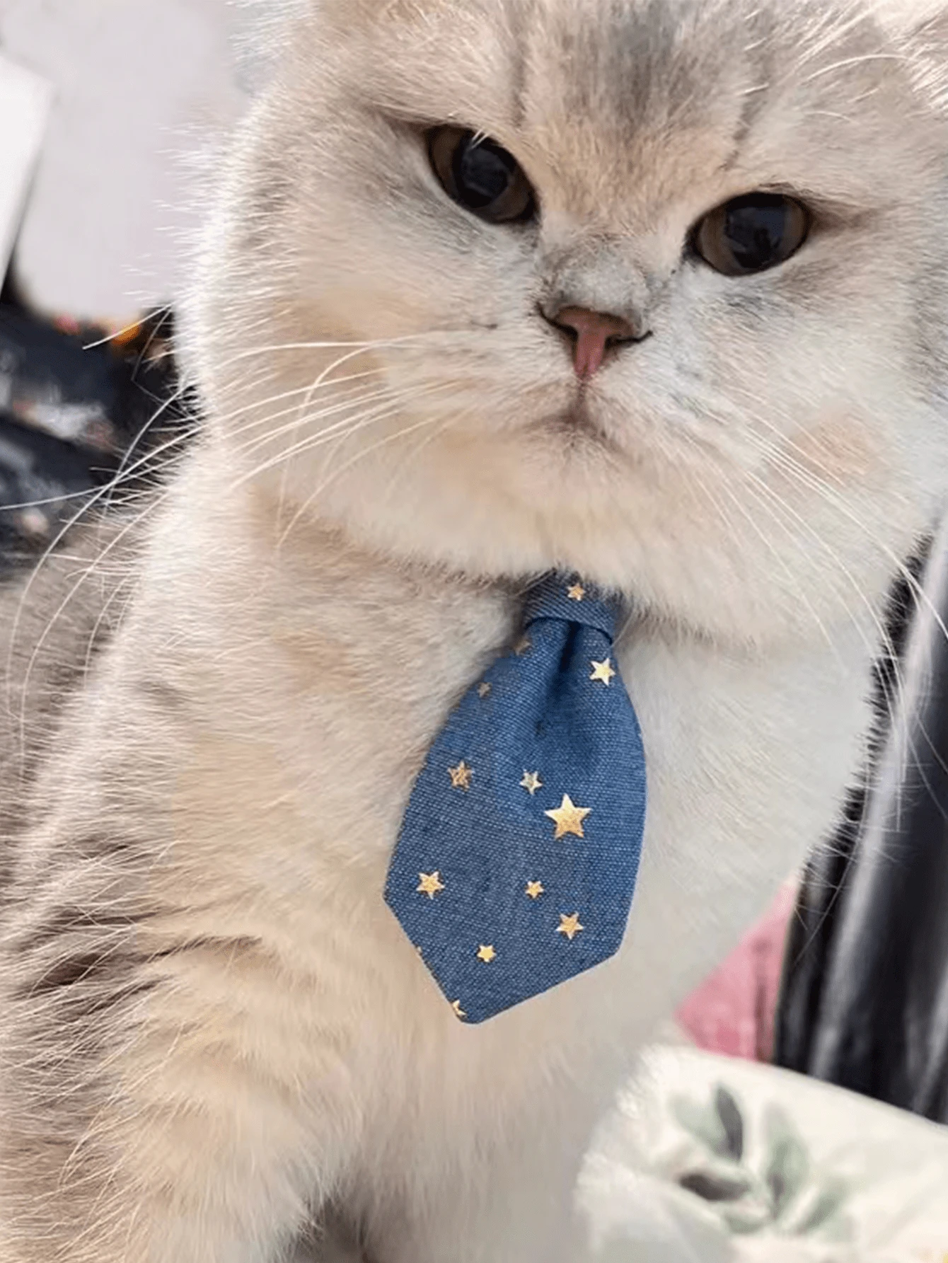 1入組可調節的可愛星空蝴蝶結項圈,適用於小型犬和貓（星星圖案位置隨機） - 彩色 - 查看 1