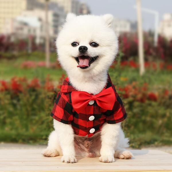1 Pieza Camisa Con Patrón De Cuadros Adecuada Para Gatos Y Perros En Primavera Y Verano