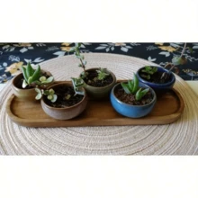 1pc Rosewood Large Tray, Suitable For Desserts, Breakfast, Sushi, Buns, Snacks, Fruits, Multi-Functional Tray, Applicable For Home Kitchen, Restaurant, Bakery, Sushi Shop, Dessert Shop, Kitchen Supplies, Various Holiday Dessert Display - Yellow - View 6