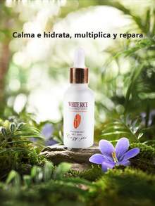 Esencia 30ml/caja mediana de 12 piezas - Marrón - Ver 3