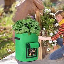 10加侖氈布馬鈴薯種植袋,可摺疊,透氣氈布蔬菜種植箱具有手柄和窗戶收獲拉練和收獲窗戶-非常適合種植馬鈴薯,番茄和蔬菜！ - 綠色 - 查看 6