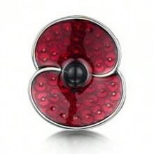 Spilla con papavero smaltato rosso, souvenir del Remembrance Day nel Regno Unito, accessorio per Ognissanti, gioiello per la Festa degli Insegnanti, accessorio per costumi, ciondolo per borse, accessorio per l'ufficio, regalo di Natale