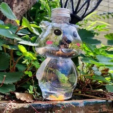 熊形自動澆水裝置,懶人澆花工具,小型滴灌系統,植物自動澆水器 - 無色 - 查看 2