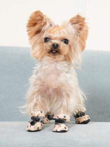 1 pieza Cubierta térmica forrada para mascotas con antideslizante para uso en interiores, incluye set de 4 piezas para mascotas - Multicolor - Ver 3