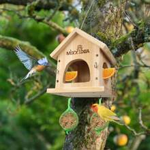 Bird Feeders & Animal Husbandry