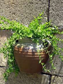 1pc Ceramic Wall Mounted Plant Pot Without Hole Creative Design Hanging Planter For Villa Wall Decoration (Plants Not Included) - Black - View 2