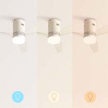 Create Silent 40W Ceiling Fan Ø132 Cm With 15W LED Light With Remote Control - ✅ 24/48H Delivery In Spain (Peninsula) - WIND CALM