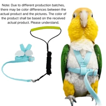 寵物鸚鵡鳥繩套,可調節的鳥類飛行繩套,帶可愛翅膀,適用於鸚鵡,鴿子,文鳥,愛情鳥,小鸚鵡,梅納等戶外訓練玩具（隨機顔色） - 淺藍色 - 查看 1