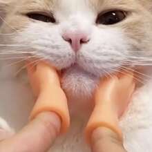 2 件小手指手扁平手式迷你手指木偶逼真橡胶手小雕像玩具搞笑手指适用于木偶表演搞笑表演派对礼物、圣诞节 - 杏色 - 查看 3