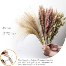 105 Pezzi Erba Di Pampe Bianca (10 Mazzi) | 15 Pezzi Fiore Secco Marrone | 20 Pezzi Cannuccia Secca Naturale | 60 Pezzi Coda Di Coniglio Naturale, Adatto Per Decorazione Matrimonio E Decorazione Casa - Multicolore - Visualizzare 2