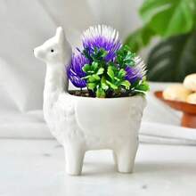 1pc Nordic Home Decor With Cartoon Succulent Ceramic Flower Pots - White - View 1