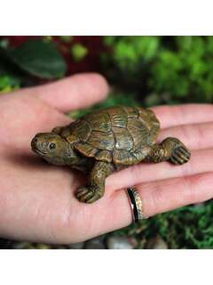 مستلزمات الحيوانات الأليفة 