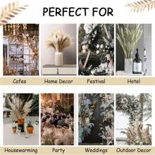 105 Pezzi Erba Di Pampe Bianca (10 Mazzi) | 15 Pezzi Fiore Secco Marrone | 20 Pezzi Cannuccia Secca Naturale | 60 Pezzi Coda Di Coniglio Naturale, Adatto Per Decorazione Matrimonio E Decorazione Casa - Multicolore - Visualizzare 6