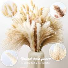 105 Pezzi Erba Di Pampe Bianca (10 Mazzi) | 15 Pezzi Fiore Secco Marrone | 20 Pezzi Cannuccia Secca Naturale | 60 Pezzi Coda Di Coniglio Naturale, Adatto Per Decorazione Matrimonio E Decorazione Casa - Multicolore - Visualizzare 5