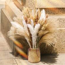 105 Pezzi Erba Di Pampe Bianca (10 Mazzi) | 15 Pezzi Fiore Secco Marrone | 20 Pezzi Cannuccia Secca Naturale | 60 Pezzi Coda Di Coniglio Naturale, Adatto Per Decorazione Matrimonio E Decorazione Casa - Multicolore - Visualizzare 1