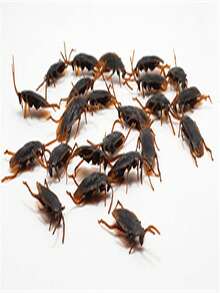 April Fool's Day Cockroach/Beetle Prank Funny Joke Toy, Scary And Gross Prop - Multicolor - View 4