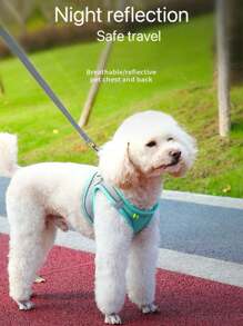 1 件可調式狗皮帶和背帶背心式胸帶背帶適合中小型犬,如柯基犬、法國鬥牛犬、柴犬等。