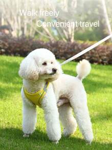 1 件可調式狗皮帶和背帶背心式胸帶背帶適合中小型犬,如柯基犬、法國鬥牛犬、柴犬等。