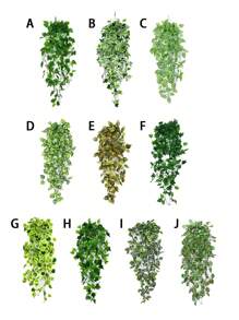 1 件，人造植物墙饰，假悬挂植物，绿植仿假常春藤装饰，适用于家居装饰室内室外墙壁房间露台办公桌架，房间装饰，美学房间装饰，花园装饰，家居装饰，情人节，礼物 - 綠色 - 查看 4