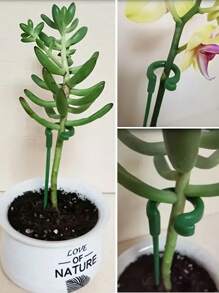 10 件装植物支撑杆、植物盆栽花卉保护器、单茎植物支撑、可重复使用的保护固定工具园艺用品、花园植物支撑桩，适用于室内外植物、花卉、西红柿、园艺工具、园艺工具 - 綠色 - 查看 8