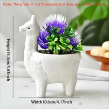 1pc Nordic Home Decor With Cartoon Succulent Ceramic Flower Pots - White - View 2