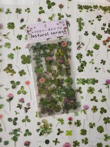 Fresh Plant-Themed Stickers For Decorating Notebook And Scrapbook - Multicolor - View 1