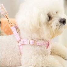 蕾絲格紋寵物胸後背帶，適用於西施犬和泰迪狗狗遛狗，適用於貓狗 - 藍色 - 查看 3