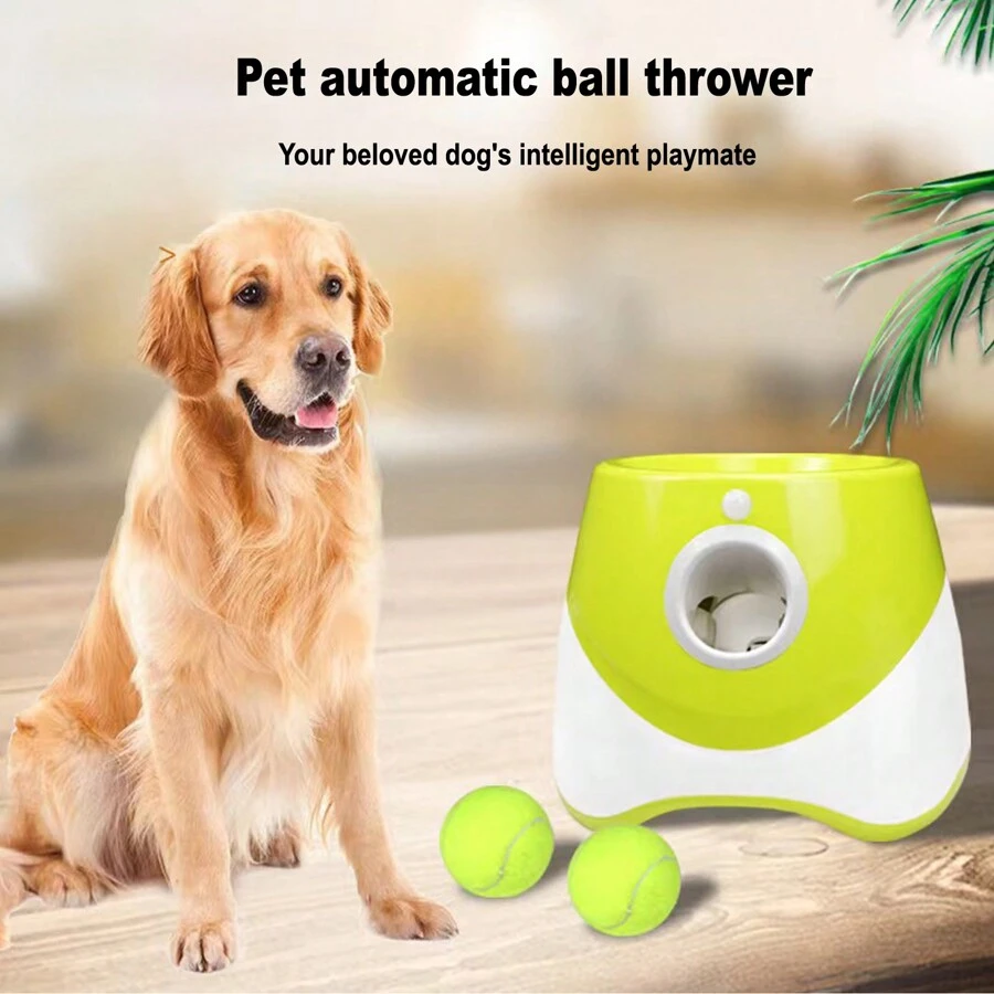 Latest Automatic Dog Ball Launcher For Small And Medium Dogs