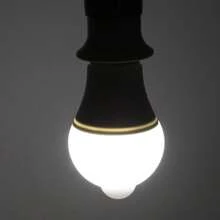 OYAJIA Żarówki LED