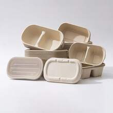 Caja De Comida, Lonchera, Contenedor Para Llevar Para Bocadillos, Sushi Y Ensalada