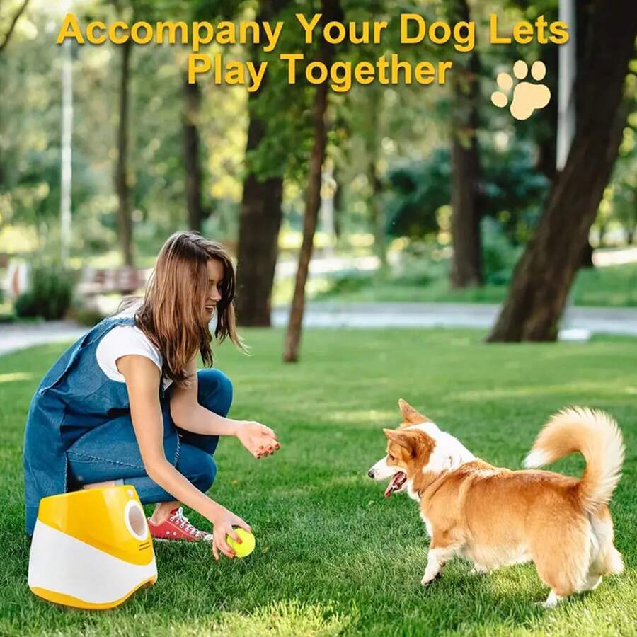 Latest Automatic Dog Ball Launcher For Small And Medium Dogs