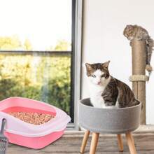 Large Cat Litter Box Sanitary Tray Open Folding Easy Assembly Quality Materials 51cmx35cmx16cm Different Colors A03 - Pink - View 6