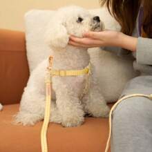 蕾絲格紋寵物胸後背帶，適用於西施犬和泰迪狗狗遛狗，適用於貓狗 - 藍色 - 查看 5