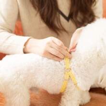 蕾絲格紋寵物胸後背帶，適用於西施犬和泰迪狗狗遛狗，適用於貓狗 - 藍色 - 查看 7