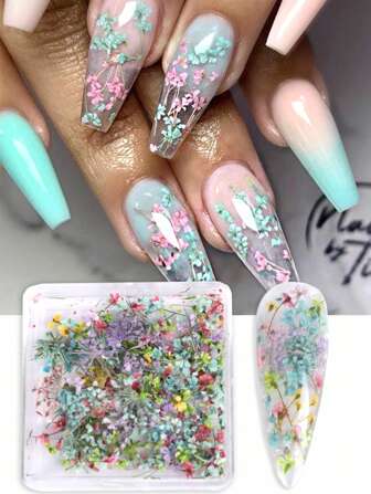 3D 蕾丝干花美甲装饰 1 盒混色天然花瓣花卉花朵贴纸贴花饰品 DIY 美甲设计适用于沙龙美甲配件美甲宝石美甲用品指甲