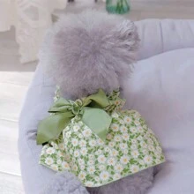 1 件可爱蝴蝶结雏菊花装饰宠物连衣裙 - 綠色 - 查看 4