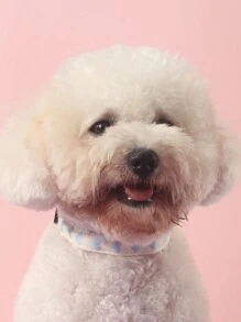 1件装心形提花柔软宠物项圈，适合小型猫狗室内外使用（不适合大型犬） - 淺藍色 - 查看 6