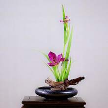 1個陶瓷插花盤,中式禪風水栽盆,水仙＆風信子水耕花盆,日式插花盤 - 黑色 - 查看 6