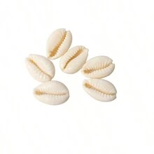 100pcs/Pack Shell Beads Diy Bracelet & Necklace Combination Making Accessory - Random - View 4