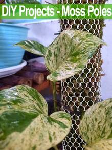 1roll Plastic Mesh Fence, Suitable For Poultry, Dogs, Rabbits, Snake Barriers And Gardening, Durable Chicken Wire Mesh, Multi-Functional Plastic Fence, Suitable For Gardens And Farms - White - View 4