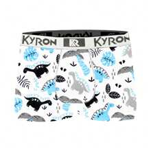 Kyron Tween Boys Underwear - Nhiều màu - Xem 7