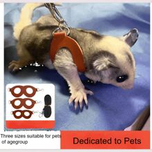 3入組糖鼠背帶牽引繩,附防逃繩,適用於倉鼠、沙龍鼠、松鼠等小寵物