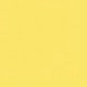 Yellow Bus