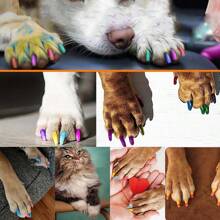 Esmalte de uñas para mascotas para perros o gatos, esmalte de uñas para perros de fácil aplicación, esmalte de uñas para perros de secado rápido - 12 colores