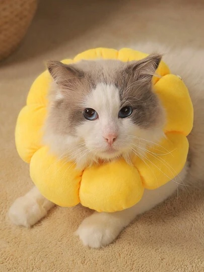 PETSIN 1 pieza Collar de gato Elizabeth: Collar cónico para mascotas para prevenir lamido, mordido y arañado después de cirugía o arreglo